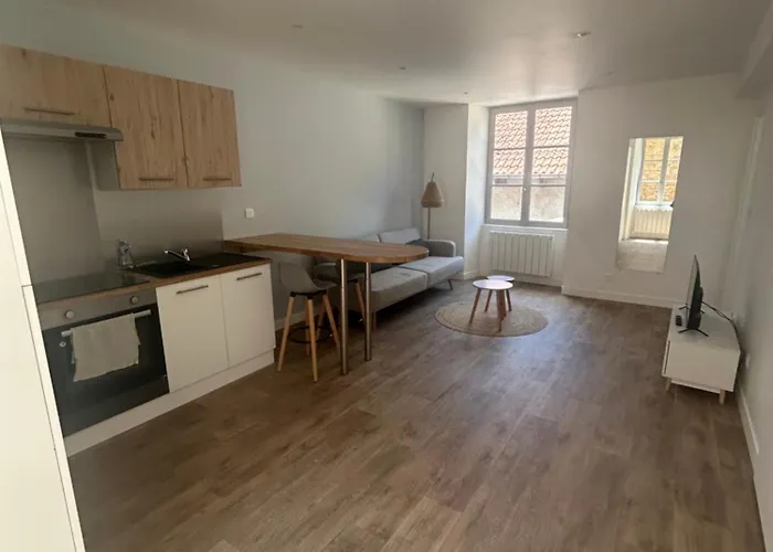 Apartment Neuf Plein Centre